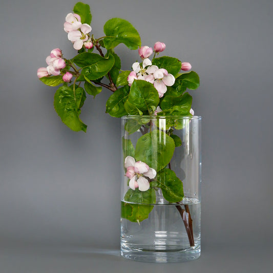 Vase ,,Clear"